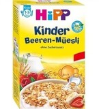 德国喜宝HiPP有机水果谷物草莓树莓燕麦早餐麦片1-3岁