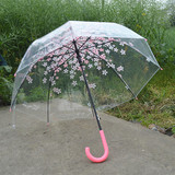 韩国透明樱花长柄公主伞创意小清新时尚创意伞学生雨伞女长柄伞