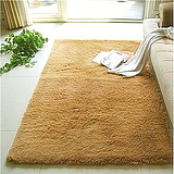 超值特价防滑椭圆形吸水丝毛地垫 门垫可爱卧室地毯 可定做