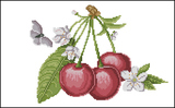 十字绣图纸 重绘源文件 水果系列之樱桃