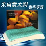 颈椎枕 保健枕 意大利进口凝胶枕 technogel枕头 成人乳胶枕芯