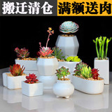 多肉花盆 陶瓷花盆 有孔白瓷 多肉植物白色简约创意风信子花瓶盆