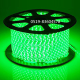220VLED绿色灯带贴片七彩闪烁led防水灯带装饰霓虹灯管彩色灯条