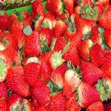 新鲜水果 特大奶油草莓 冬草莓 红颜草莓  水果  精选大果