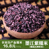 晚稻古种紫米云南墨江500g农家血糯米优质新米老品种紫糯米一斤装