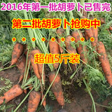 5斤装农家自种胡萝卜有机胡萝卜新鲜非转基因小胡萝卜新鲜蔬菜