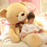 大熊泰迪熊抱抱熊猫公仔女生布娃娃1.6米1.8情人节生日礼物送女友