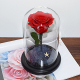 进口永生花小王子玫瑰花礼盒玻璃罩保鲜花女友爱人生日纪念日礼物