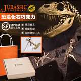 包邮 日本创意侏罗纪恐龙考古化石巧克力礼盒装 六一儿童节礼物