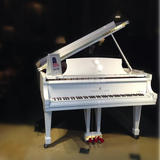 德国施坦威三角钢琴Steinway&Sons “IMAGINE” SERIES实木音板