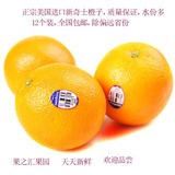 美国进口新奇士橙字子 进口新鲜水果甜橙 橙子12个装 包邮