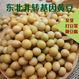东北特产自种小笨黄豆纯天然非转基因发豆芽豆浆有机杂粮农家500g