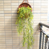 创意客厅墙面仿真植物壁挂件墙上墙壁饰花盆田园装饰品墙饰挂饰