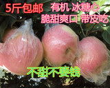 山东聊城农家自种 新鲜红富士苹果 绿色有机水果5斤包邮