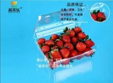 蔬果乐水果包装盒一次性塑料餐盒长方形草莓车厘子保鲜盒 400克装