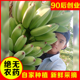 香蕉banana广东新鲜水果特产无催熟剂非米蕉粉蕉5斤包邮