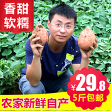 新鲜小红薯山东特产5斤装 农家自种黄心地瓜绿色健康香甜可口包邮