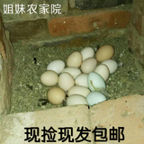 姐妹农家院散养土鸡蛋绿色柴鸡蛋40枚装新鲜笨鸡蛋草鸡蛋新生喜蛋