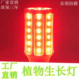 新品LED 玉米灯泡E27 12v 24v 36v 220v红光猪肉生鲜灯植物生长灯
