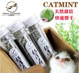 猫薄荷天然薄荷草 猫咪零食猫薄荷粉猫薄荷叶猫化毛去毛球包邮