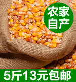 普通玉米粒农家自产磨面粉打豆浆鸽子兔子饲料五谷杂粮5斤包邮