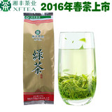 2016年明前新茶上市金井名茶湘丰特级绿茶200g（3包包邮送粉丝）