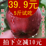 2015新鲜水果 花牛苹果 礼县面甜刮泥花牛粉苹果蛇果特价4斤送1斤