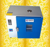 电热恒温箱 鼓风干燥箱烘箱 高温箱 小型自动化烘干机 工业电烤箱
