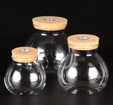 创意旋转开关带灯瓶子 苔藓微景观生态瓶 透明软木塞玻璃景观瓶