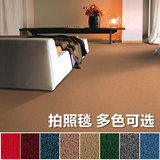 华德地毯 薄款拍照毯背景毯烟灰色纯色驼色红色绿色青色橙色定制