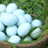 高受精率纯种五黑鸡种蛋五黑一绿种蛋绿壳种蛋受精蛋土鸡种蛋