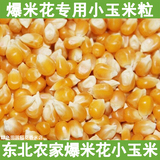 东北特产黑龙江农家自产新玉米爆米花专用玉米粒500g小玉米粒