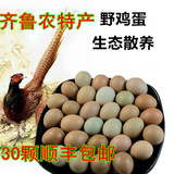 30枚顺丰包邮 野鸡蛋山鸡蛋种蛋 新鲜散养纯天然土鸡蛋七彩山鸡蛋