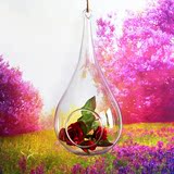 悬挂玻璃球 空心植物吊瓶水滴花瓶 玻璃手工艺品 创意家居挂饰品