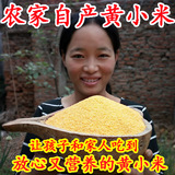 黄小米2015新米 小黄米 月子米 小米粥 农家特产有机宝宝小米250G