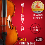 正品红棉V182 008 235小提琴纯手工高档乐器初学者成人儿童送礼包