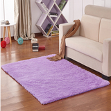 【天天特价】可机洗丝毛地毯简约现代欧式家用客厅门纯色定制满铺