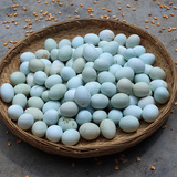 纯天然农家放养乌鸡蛋正宗乌骨绿壳散养土鸡蛋杂粮绿皮鸡蛋30枚