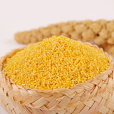 沂蒙山 黄小米2015新米 农家自产 有机 月子米 小黄米 宝宝米5斤