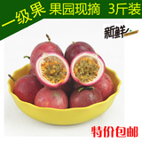 广西农家现摘热带果百香果3斤包邮 无污染新鲜水果酸西番莲鸡蛋果