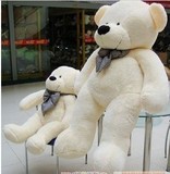 麦迪熊熊熊单熊棉猫公仔泰迪熊娃娃生毛绒玩具促销