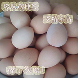 珍珠鸡种蛋受精蛋 纯种 孵化用蛋 散养有机种蛋 碎了包赔