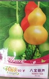 八宝葫芦种子 文玩葫芦籽 小葫芦种子 挂果率极高品种 包邮免运费