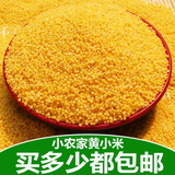 五谷杂粮 小黄米山东农家自产有机黄小米 新米月子米250g