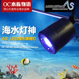 AS LED海水神灯珊瑚灯蓝白可调海水养殖灯 海水灯
