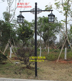 仿古中式庭院灯3米3.5米户外灯公园别墅灯景观灯道路灯双头灯笼灯