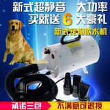 宠物狗狗专业吹风机大功率超静音电吹风猫狗洗澡家用通用型吹毛机