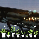 小盆栽小草花橱窗玻璃防撞贴卧室餐厅客厅背景墙贴创意装饰玻璃贴