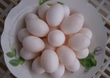 鸽子蛋新鲜白鸽蛋农家散养宝宝营养辅食鸽蛋鸽子蛋包邮顺丰