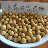 东北黑龙江五常黄豆非转基因豆芽豆浆产地发货农家自种无污染500g